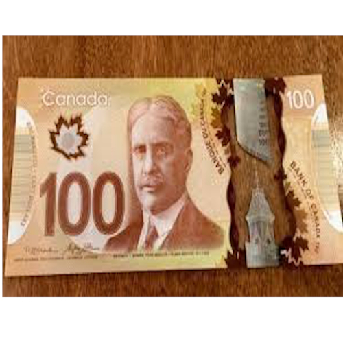 Buy 100 CAD Bills Online